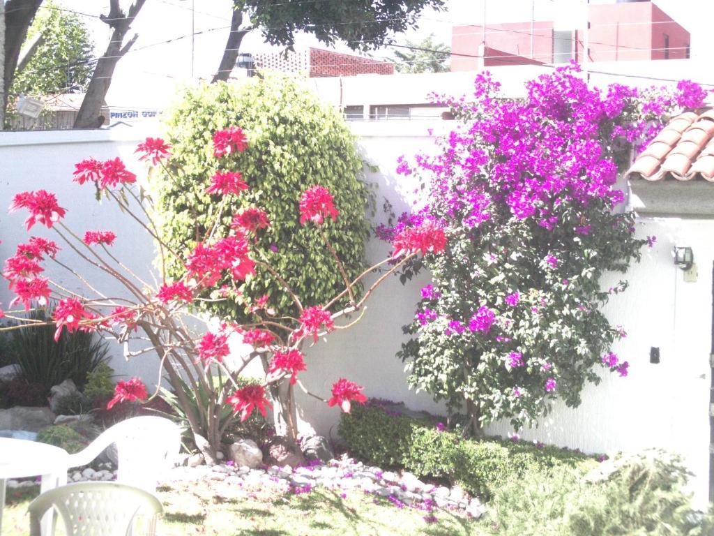 Willa Casa Puebla La Paz Zewnętrze zdjęcie